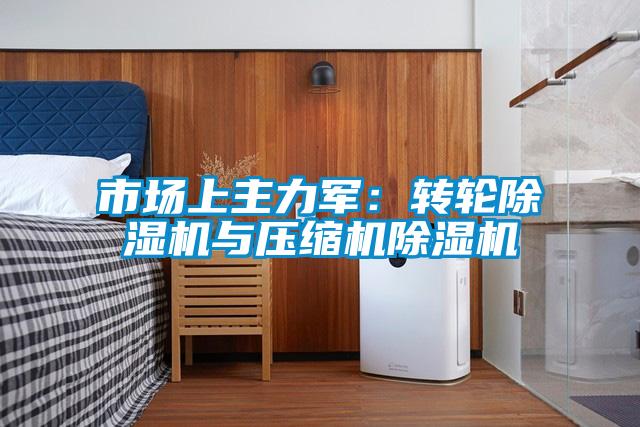 市場上主力軍:轉輪除濕機與壓縮機除濕機
