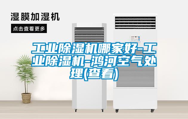 工業除濕機哪家好-工業除濕機-鴻河空氣處理(查看)
