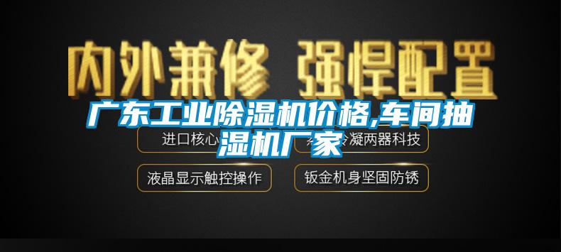 廣東工業除濕機價格,車間抽濕機廠家