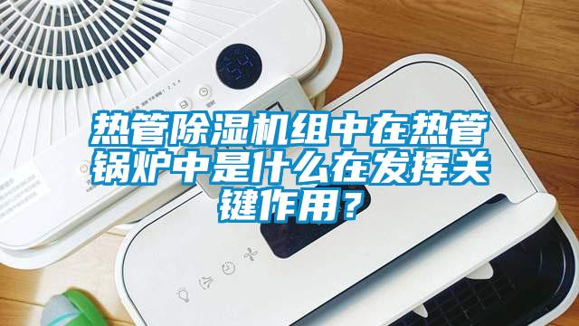熱管除濕機組中在熱管鍋爐中是什么在發揮關鍵作用?