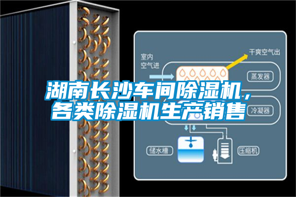 湖南長沙車間除濕機,各類除濕機生產銷售