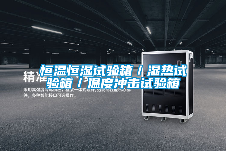 恒溫恒濕試驗箱/濕熱試驗箱/溫度沖擊試驗箱