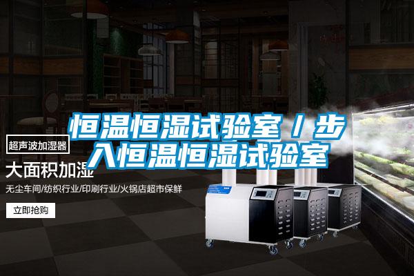 恒溫恒濕試驗(yàn)室/步入恒溫恒濕試驗(yàn)室
