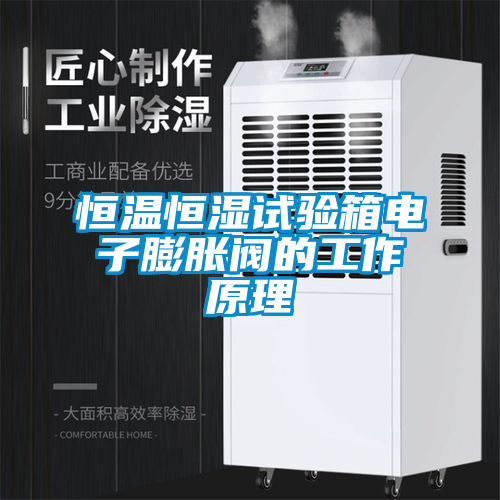 恒溫恒濕試驗(yàn)箱電子膨脹閥的工作原理