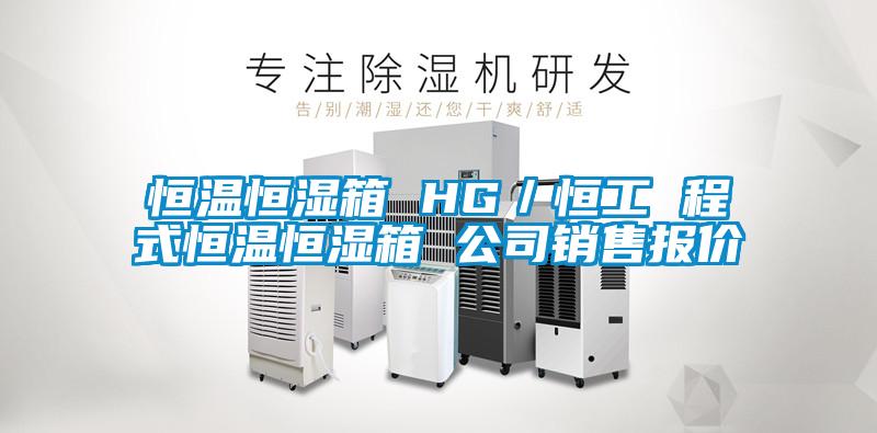 恒溫恒濕箱 HG/恒工 程式恒溫恒濕箱 公司銷售報價