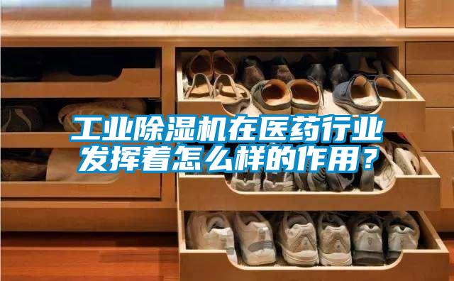 工業(yè)除濕機在醫(yī)藥行業(yè)發(fā)揮著怎么樣的作用？