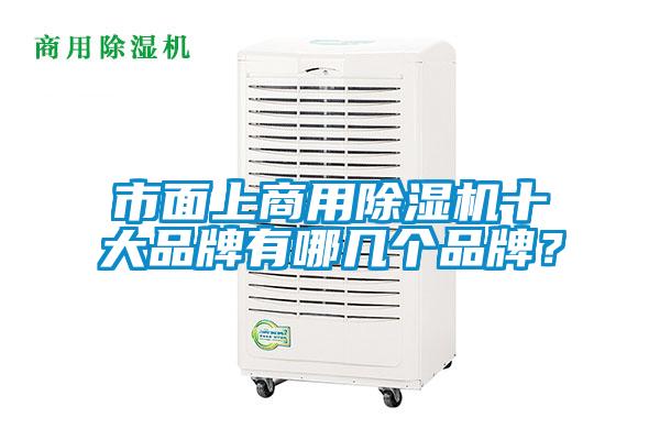 市面上商用除濕機十大品牌有哪幾個品牌?