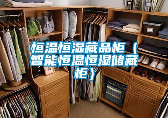 恒溫恒濕藏品柜(智能恒溫恒濕儲藏柜)