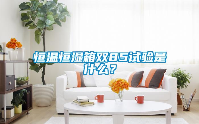 恒溫恒濕箱雙85試驗(yàn)是什么？