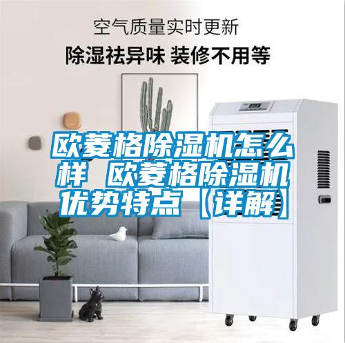 歐菱格除濕機(jī)怎么樣 歐菱格除濕機(jī)優(yōu)勢特點(diǎn)【詳解】
