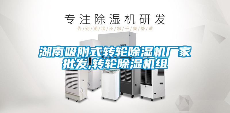 湖南吸附式轉輪除濕機廠家批發,轉輪除濕機組