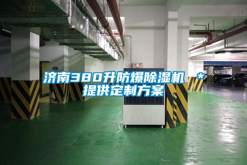 濟南380升防爆除濕機 *提供定制方案