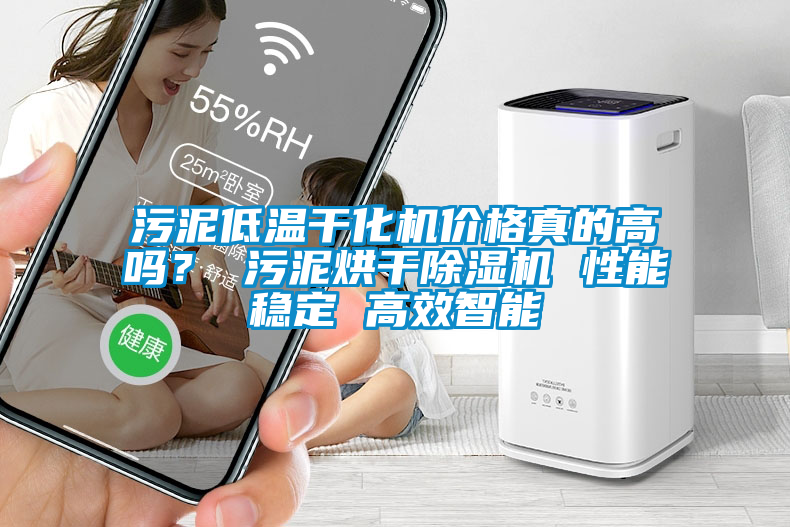 污泥低溫干化機價格真的高嗎？ 污泥烘干除濕機 性能穩(wěn)定 高效智能