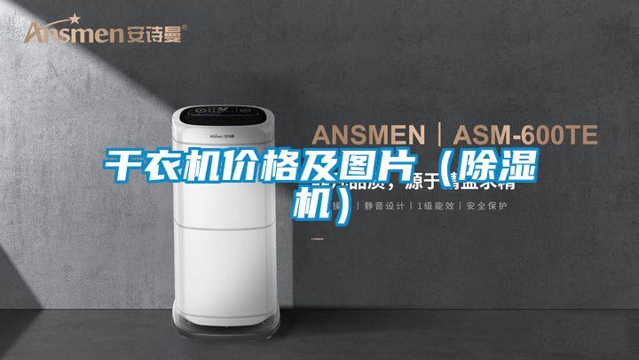 干衣機價格及圖片(除濕機)