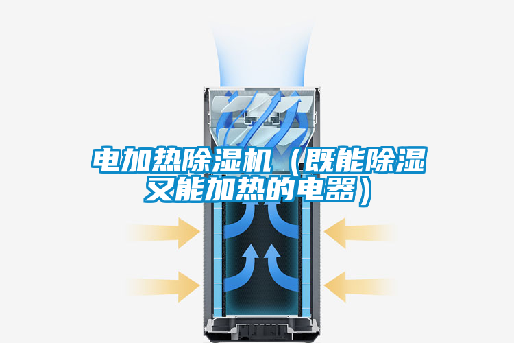 電加熱除濕機(既能除濕又能加熱的電器)