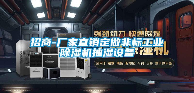 招商-廠家直銷定做非標工業(yè)除濕機抽濕設備