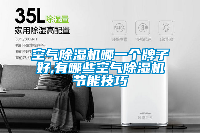 空氣除濕機(jī)哪一個牌子好,有哪些空氣除濕機(jī)節(jié)能技巧