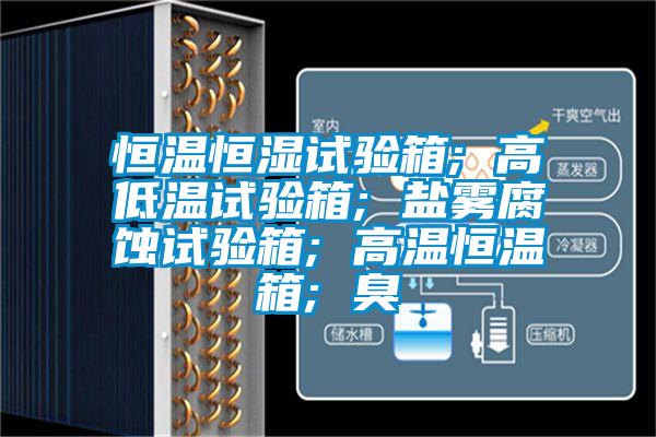 恒溫恒濕試驗(yàn)箱; 高低溫試驗(yàn)箱; 鹽霧腐蝕試驗(yàn)箱; 高溫恒溫箱; 臭