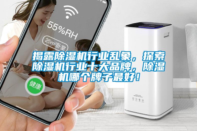 揭露除濕機行業(yè)亂象，探索除濕機行業(yè)十大品牌，除濕機哪個牌子最好！