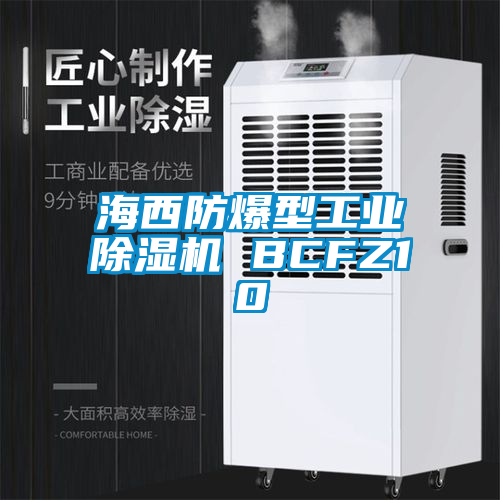 海西防爆型工業除濕機 BCFZ10