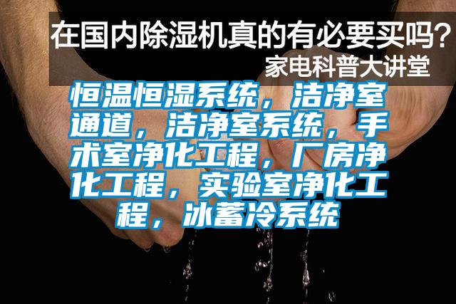 恒溫恒濕系統,潔凈室通道,潔凈室系統,手術室凈化工程,廠房凈化工程,實驗室凈化工程,冰蓄冷系統