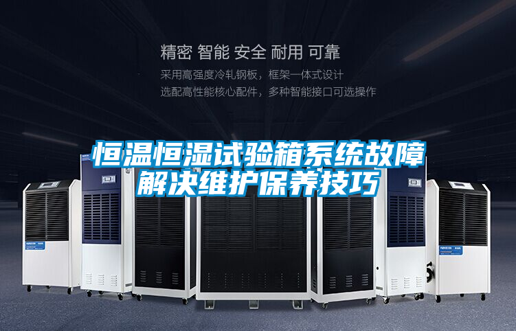 恒溫恒濕試驗(yàn)箱系統(tǒng)故障解決維護(hù)保養(yǎng)技巧