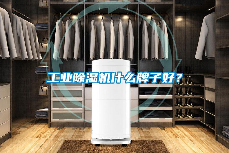 工業除濕機什么牌子好?