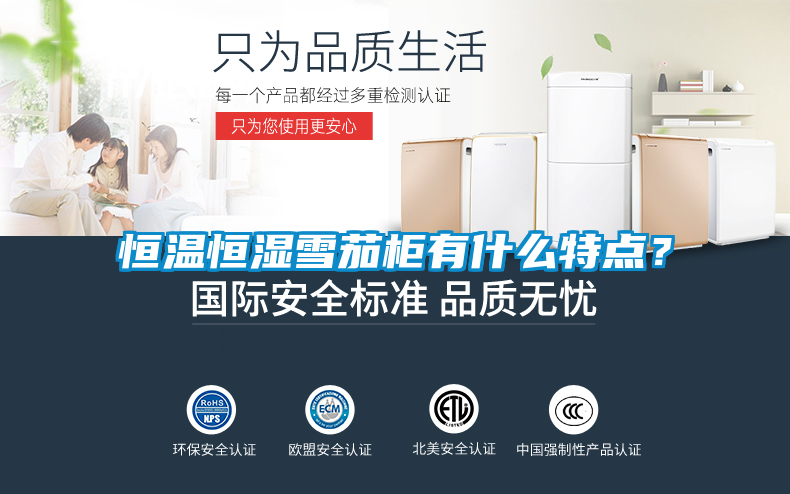 恒溫恒濕雪茄柜有什么特點?