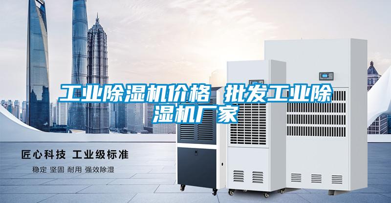 工業除濕機價格 批發工業除濕機廠家