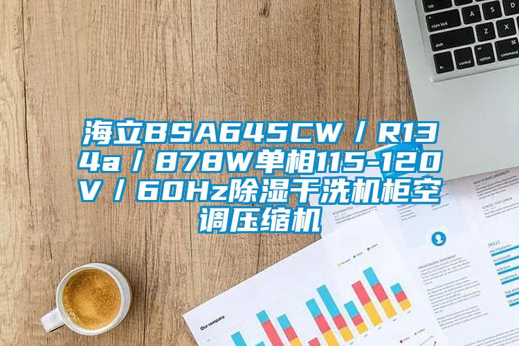 海立BSA645CW/R134a/878W單相115-120V/60Hz除濕干洗機柜空調(diào)壓縮機