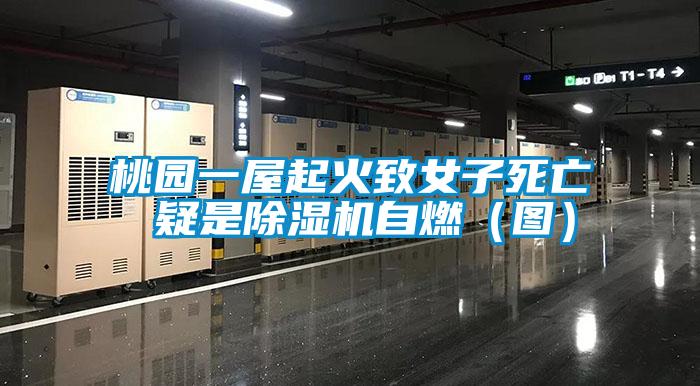 桃園一屋起火致女子死亡 疑是除濕機(jī)自燃(圖)