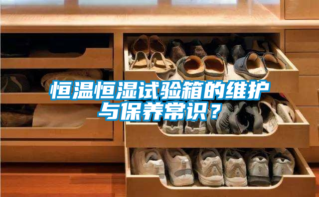 恒溫恒濕試驗箱的維護與保養(yǎng)常識?
