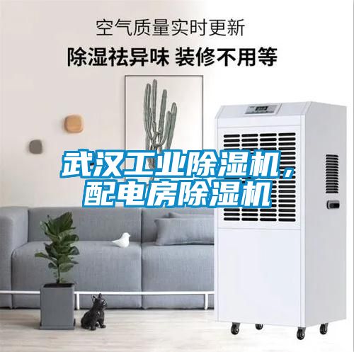 武漢工業(yè)除濕機,配電房除濕機