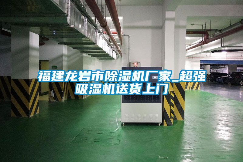 福建龍巖市除濕機廠家_超強吸濕機送貨上門