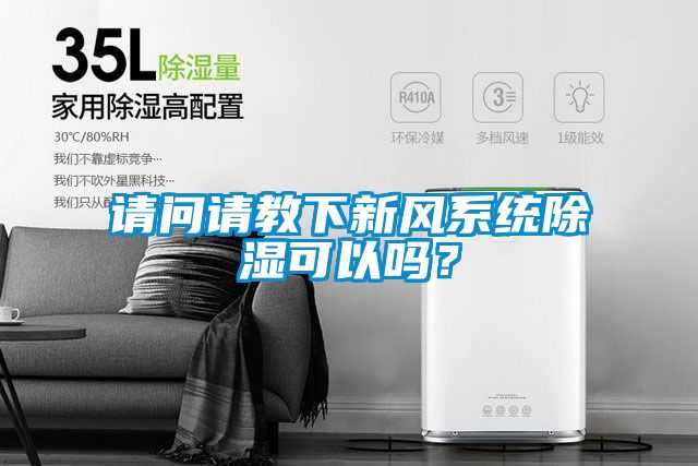 請問請教下新風系統除濕可以嗎?