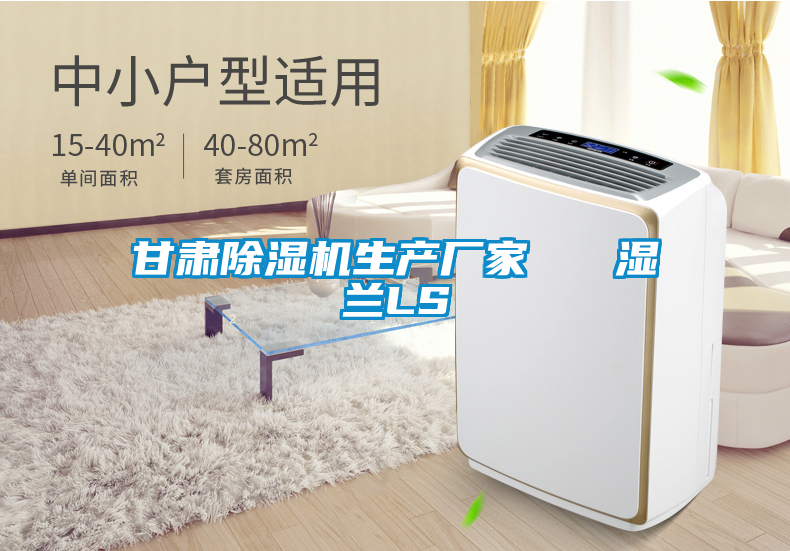 甘肅除濕機生產廠家 濕蘭LS