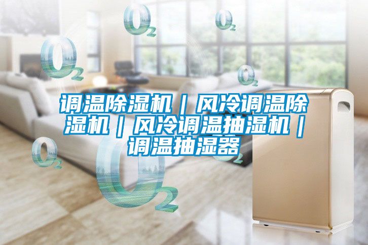 調(diào)溫除濕機(jī)|風(fēng)冷調(diào)溫除濕機(jī)|風(fēng)冷調(diào)溫抽濕機(jī)|調(diào)溫抽濕器