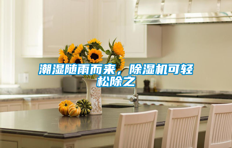 潮濕隨雨而來,除濕機可輕松除之