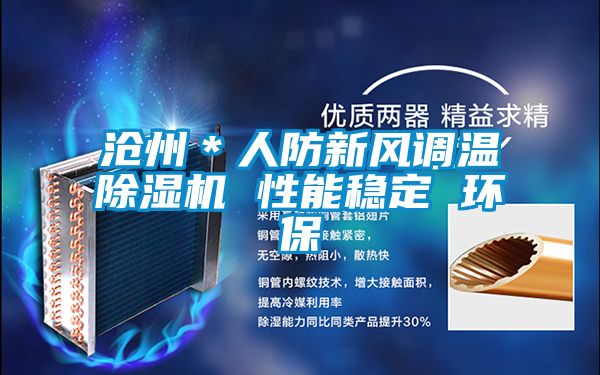 滄州*人防新風(fēng)調(diào)溫除濕機(jī) 性能穩(wěn)定 環(huán)保