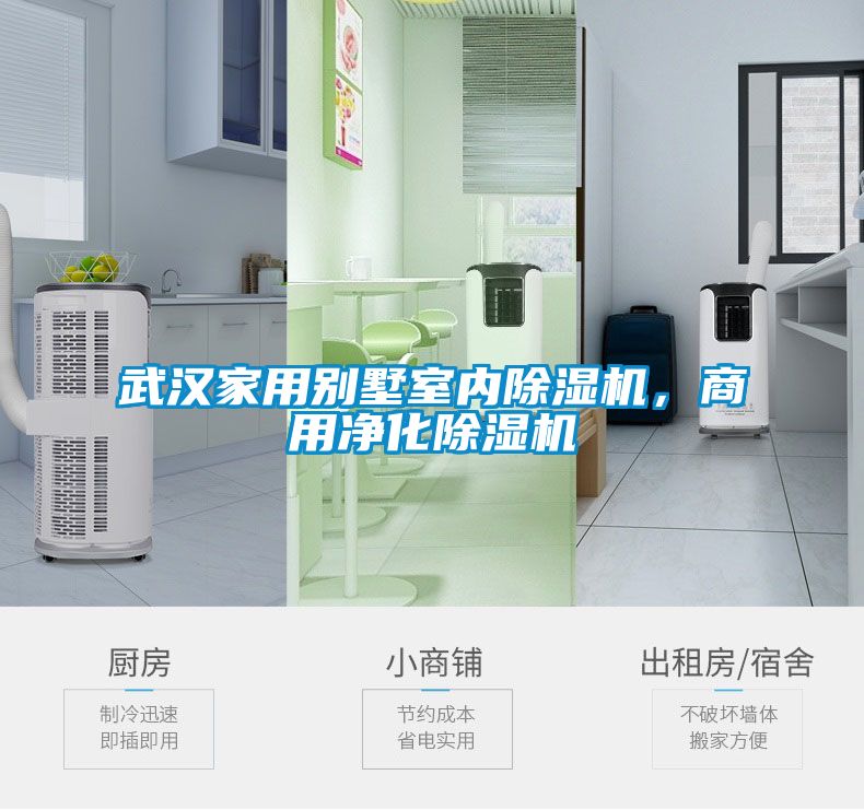 武漢家用別墅室內除濕機,商用凈化除濕機