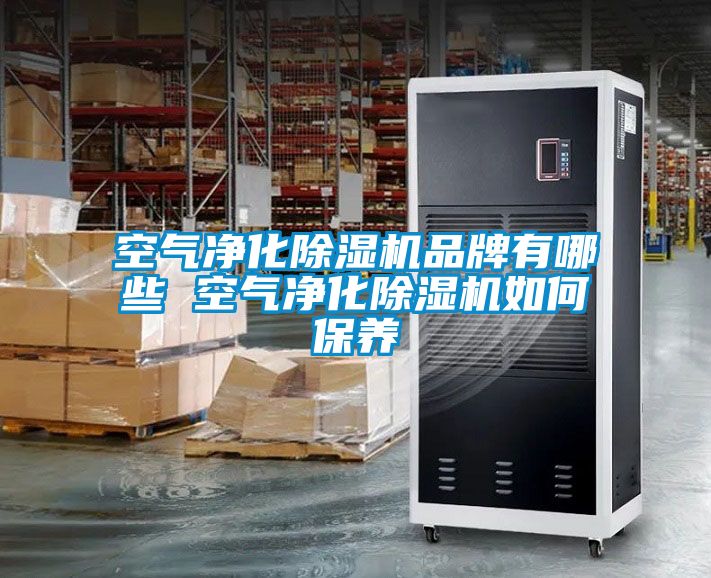 空氣凈化除濕機品牌有哪些 空氣凈化除濕機如何保養