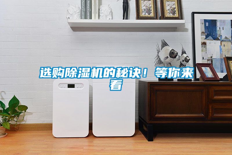 選購(gòu)除濕機(jī)的秘訣！等你來(lái)看