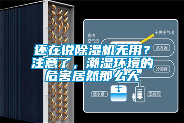 還在說除濕機無用？注意了，潮濕環境的危害居然那么大