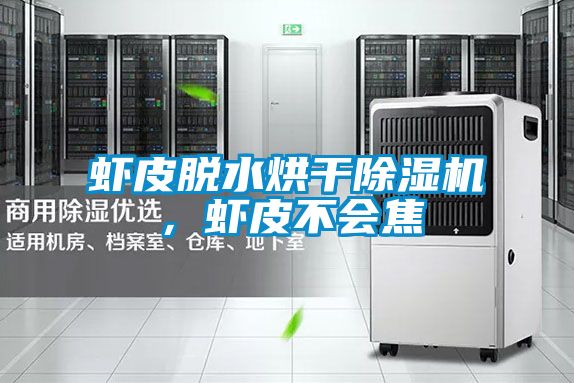 蝦皮脫水烘干除濕機,蝦皮不會焦