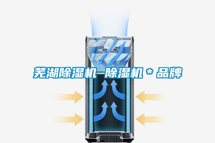 蕪湖除濕機 除濕機*品牌
