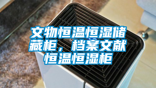 文物恒溫恒濕儲藏柜，檔案文獻恒溫恒濕柜