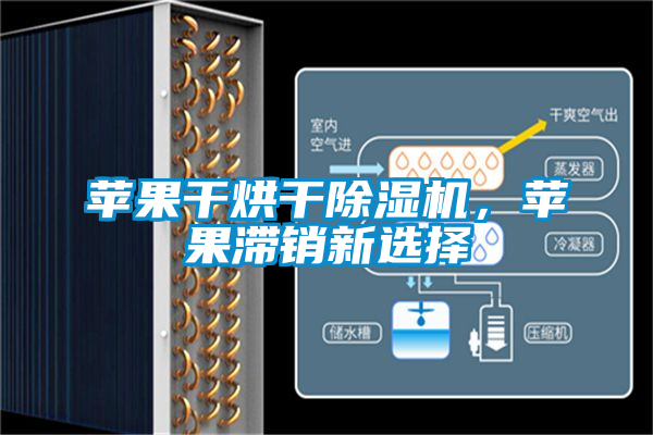 蘋果干烘干除濕機,蘋果滯銷新選擇