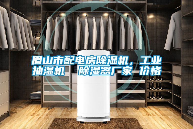 眉山市配電房除濕機，工業抽濕機  除濕器廠家 價格