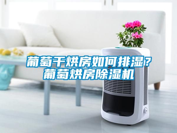 葡萄干烘房如何排濕?葡萄烘房除濕機