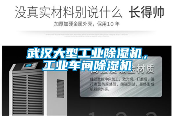 武漢大型工業除濕機,工業車間除濕機